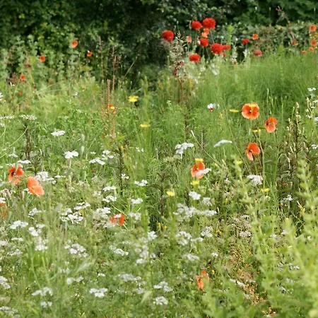 Ecostay De Wilderis * Wilp