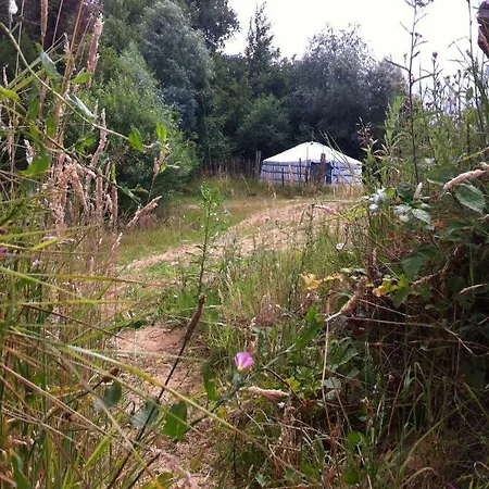 Ecostay De Wilderis אוהל מפואר Wilp